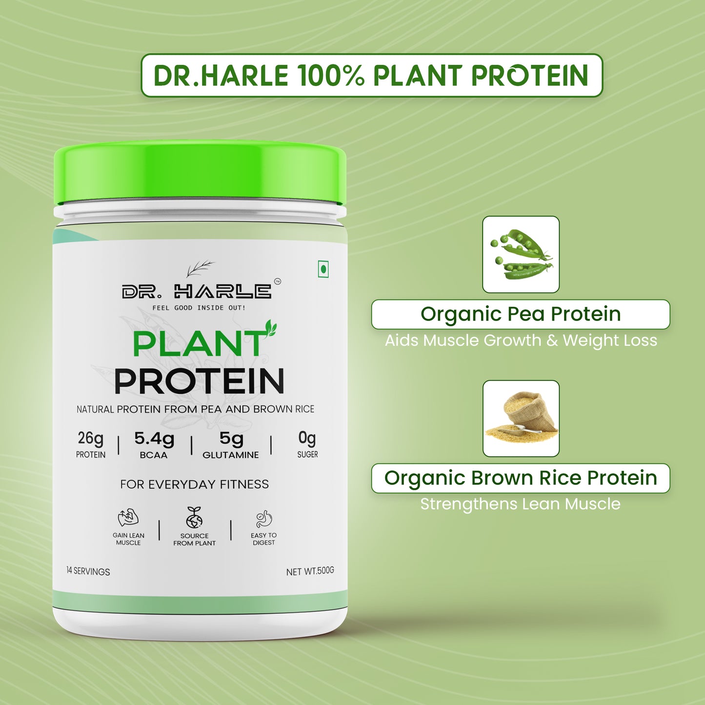 Plant Protien Powder